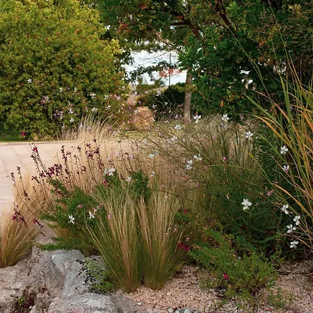 Bed & Breakfast La Ferula