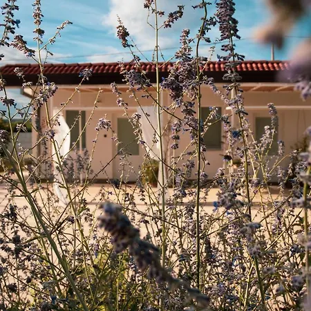 La Ferula * Altamura
