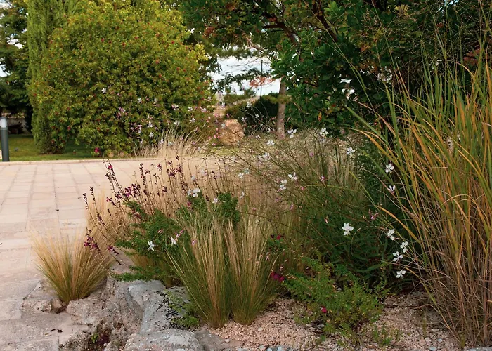 Bed & Breakfast La Ferula